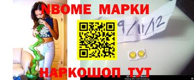 СК Шелехов