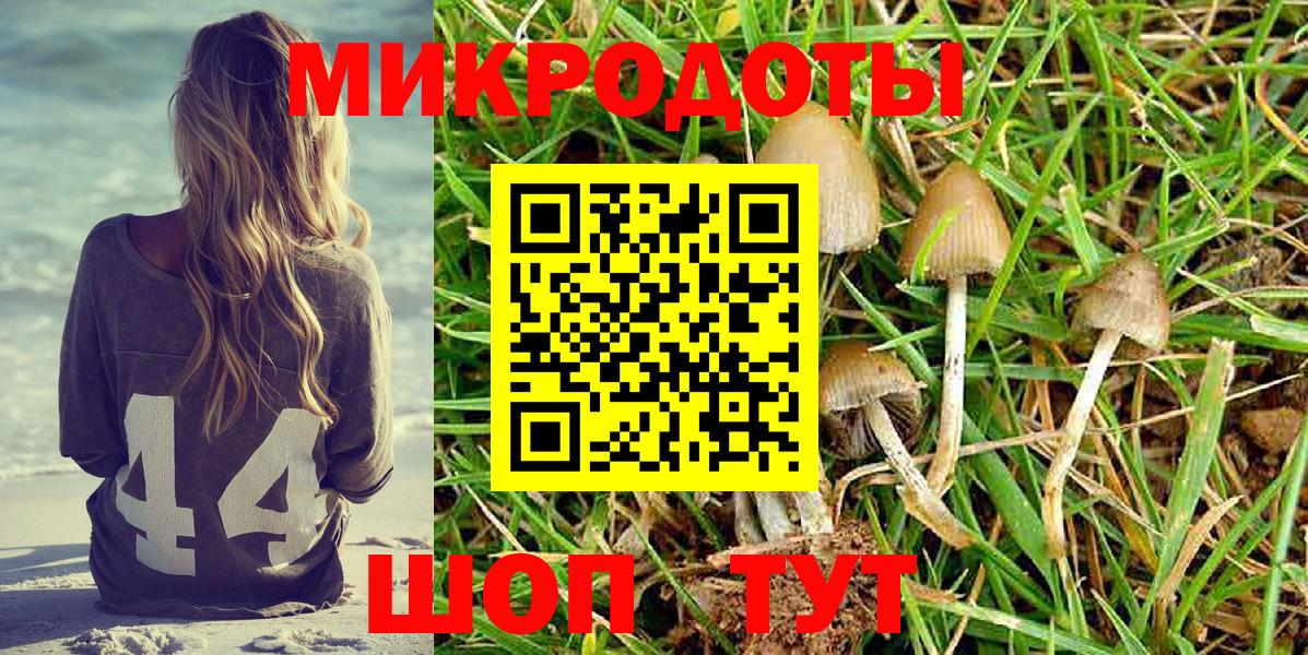 Галлюциногенные грибы GOLDEN TEACHER  Вход с VPN  Кимры 