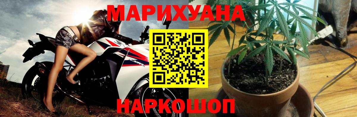 МАРИХУАНА сатива Кимры