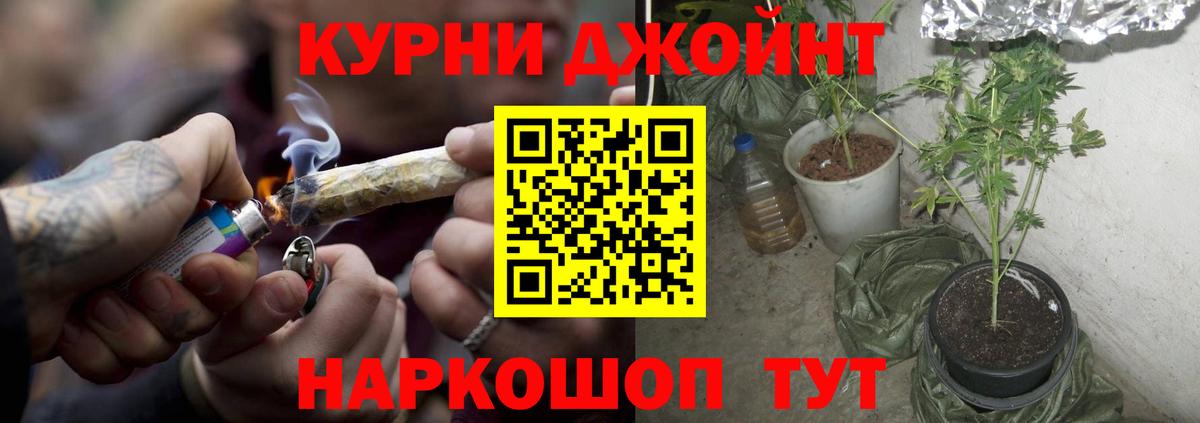 Марихуана Ganja  Марихуана семена  Конопля сатива  Кимры  Вход с VPN 